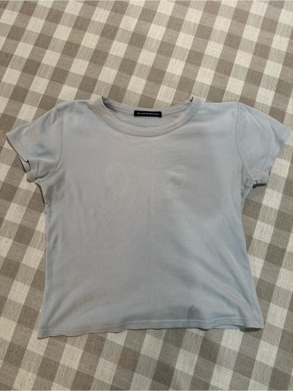 Brandy Melville Hailie Basic Crop Top Baby Blue Short Sleeve Tee